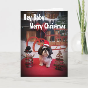 CARTES POUR FÊTES ANNUELLES AMOUR PUPPY NAUGHTY OU NICE À NOËL