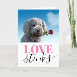 Cartes Pour Fêtes Annuelles Amour qui pue Photo drôle Saint-Valentin