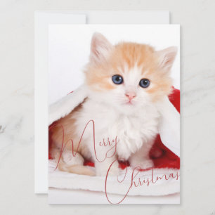 Cartes Pour Fêtes Annuelles Amoureux branchés des animaux de compagnie Joyeux 