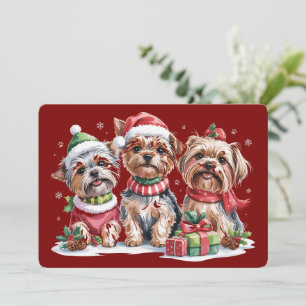 Cartes Pour Fêtes Annuelles Amoureux de chiens Yorkshire Terrier de Noël