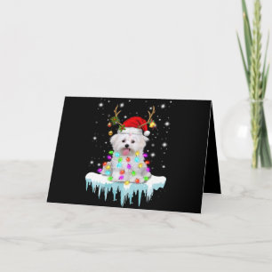 Cartes Pour Fêtes Annuelles amoureux des chiens  Lumière Fée De Noël Maltaise 
