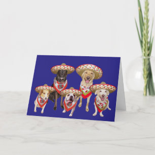 Cartes Pour Fêtes Annuelles Amusant Anniversaire Espagnol du Groupe