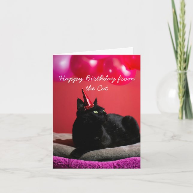 Cartes Pour Fêtes Annuelles Amusant Joyeux Anniversaire du chat (Devant)