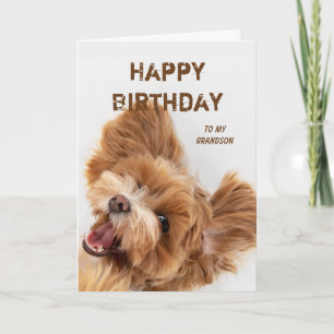 Cartes Pour Fêtes Annuelles Amusant Joyeux Anniversaire Grand-fils mignon chie