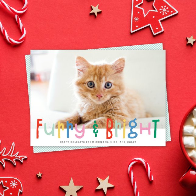Cartes Pour Fêtes Annuelles Amusante Mignonne Furie & Bright Chien Chat Pet Ph (Créateur téléchargé)