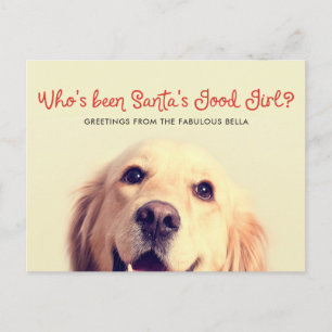 Cartes Pour Fêtes Annuelles Amusante vacances de chien de compagnie   Salutati