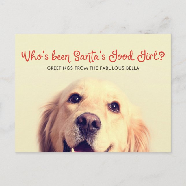 Cartes Pour Fêtes Annuelles Amusante vacances de chien de compagnie | Salutati (Devant)