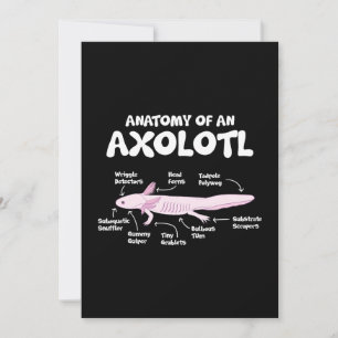 Cartes Pour Fêtes Annuelles anatomie d'un axolotl axolotls science de la biolo