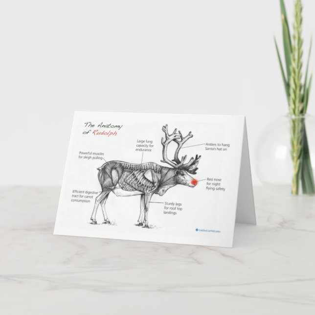 Cartes Pour Fêtes Annuelles Anatomy of Christmas (Devant)
