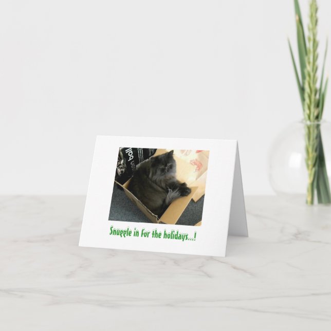 Cartes Pour Fêtes Annuelles Andy & Dougy Vous souhaite un Noël béni ! (Devant)