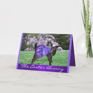 Cartes Pour Fêtes Annuelles Angel & Wisteria2- personnaliser de toute occasion