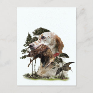 Cartes Pour Fêtes Annuelles Anglais Setter, chasse à la bécasse