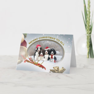 Cartes Pour Fêtes Annuelles Anglais Springer Spaniel Joyeux Noël À Tous