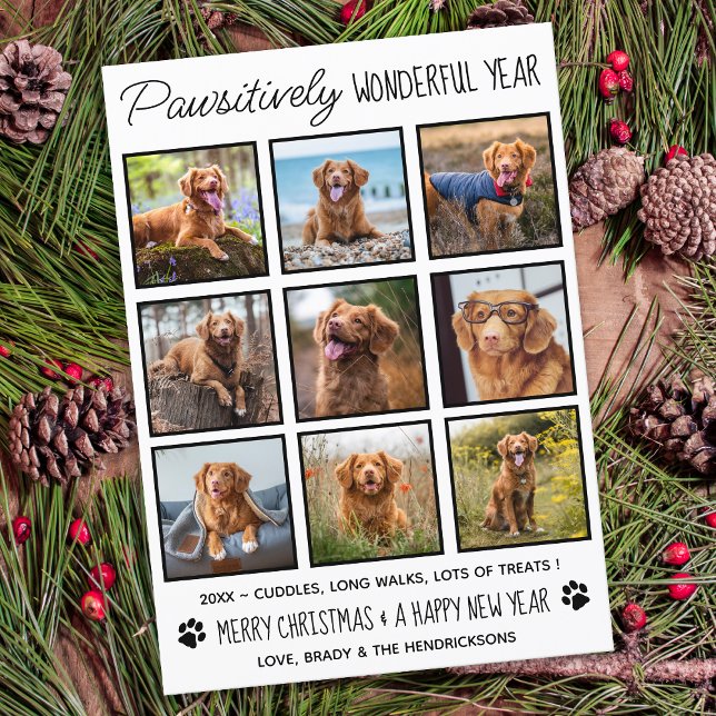 Cartes Pour Fêtes Annuelles Animal de compagnie Pawsitivement Merveilleux anim (Créateur téléchargé)