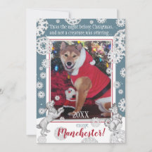 Animaux de compagnie Chien Flocon de neige Funky A