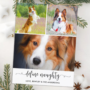 Cartes Pour Fêtes Annuelles Animaux de compagnie Définir Chien coquin Photo Co