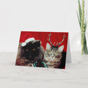 Cartes Pour Fêtes Annuelles Animaux de Noël