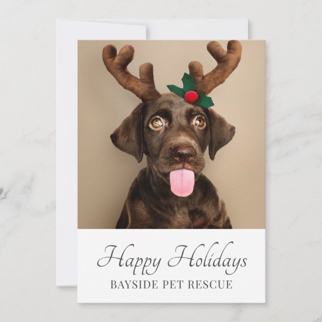 Cartes Pour Fêtes Annuelles Animaux Secourus Photo Noël (Devant)