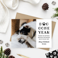 Année Canine Drôle Photo Noir Blanc Animal De Comp