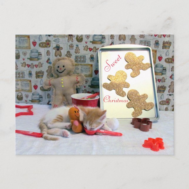 Cartes Pour Fêtes Annuelles Annie's Gingerbread - Chat / Kitten Christmas (Devant)