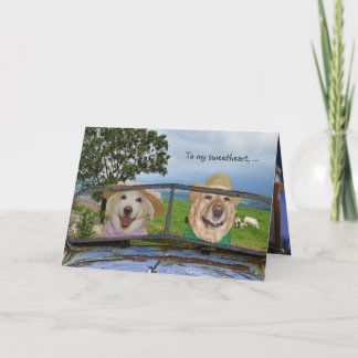 Cartes Pour Fêtes Annuelles Anniversaire de chiens drôles