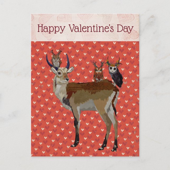Cartes Pour Fêtes Annuelles ANTELOPE & ANTLER OWLS VALENTINE'S Postcard (Devant)