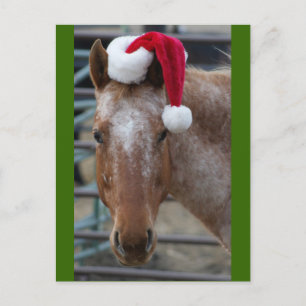Cartes Pour Fêtes Annuelles Appaloosa rouge avec chapeau de Santa
