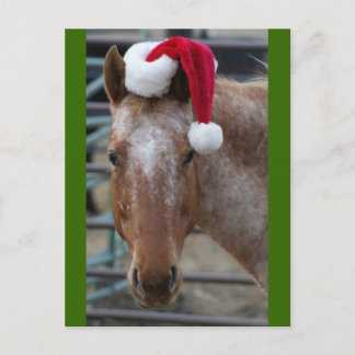 Cartes Pour Fêtes Annuelles Appaloosa rouge avec chapeau de Santa