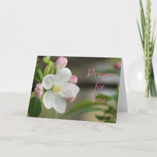 Cartes Pour Fêtes Annuelles Apple Blossom Prayer card- or any occasion