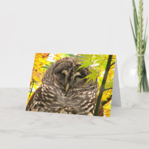 Cartes Pour Fêtes Annuelles Appy Owlidays