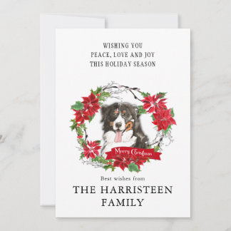 Cartes Pour Fêtes Annuelles Aquarelle Bernese Mountain Dog Poinsettia Wreath
