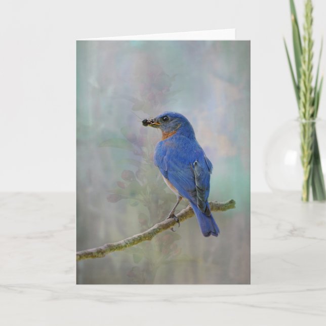 Cartes Pour Fêtes Annuelles Aquarelle Bluebird (Devant)