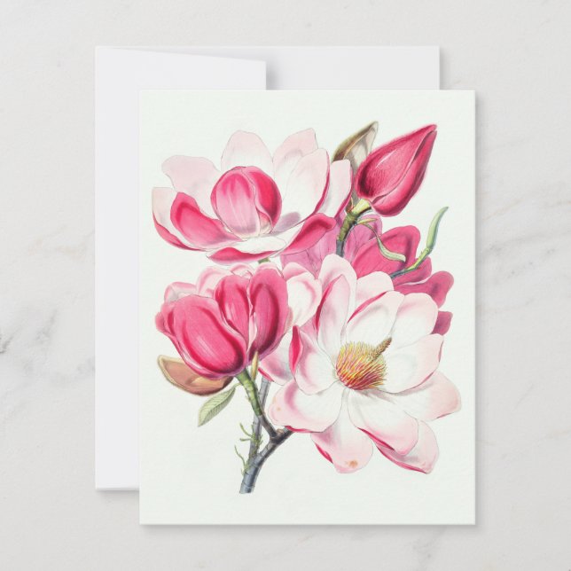 Cartes Pour Fêtes Annuelles Aquarelle Botanique Rose Magnolia Fleurs (Devant)
