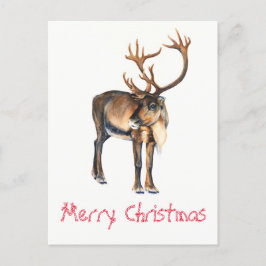Cartes Pour Fêtes Annuelles Aquarelle de caribou peinte à la main par des renn