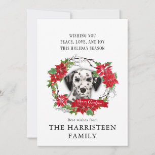 Cartes Pour Fêtes Annuelles Aquarelle de chien dalmate Poinsettia Noël