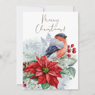 Cartes Pour Fêtes Annuelles Aquarelle d'oiseaux rouges Robin Noël hiver