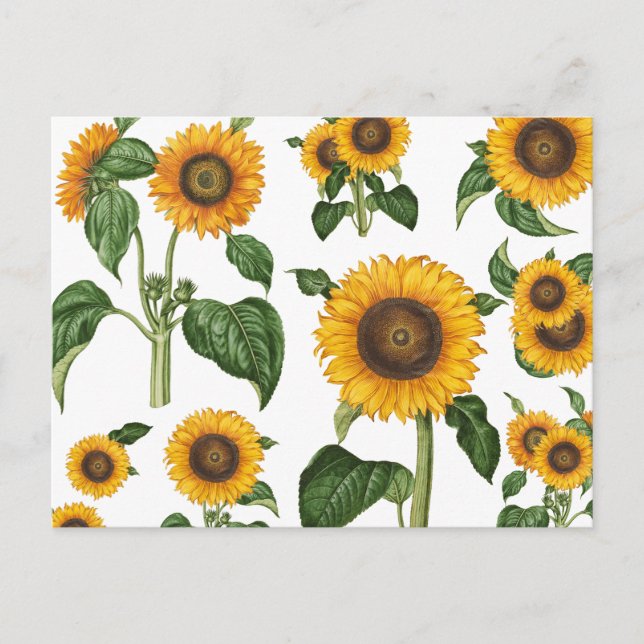 Cartes Pour Fêtes Annuelles Aquarelle Fleurs de soleil Botanique Foliage Verdu (Devant)