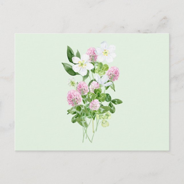 Cartes Pour Fêtes Annuelles Aquarelle Fleurs de trèfle et composition Feuille (Devant)