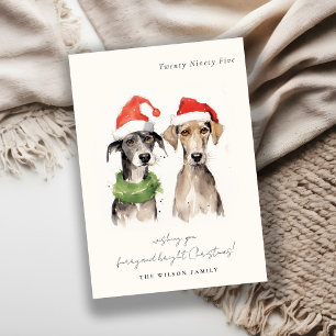 Cartes Pour Fêtes Annuelles Aquarelle mignonne fourrage de chien et Noël brill