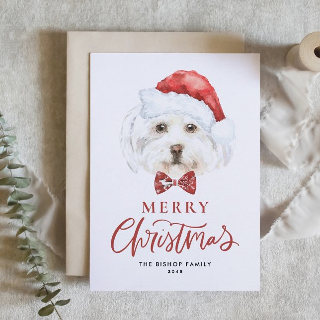 Cartes Pour Fêtes Annuelles Aquarelle mignonne Maltese Père Noël Joyeux Noël (Créateur téléchargé)
