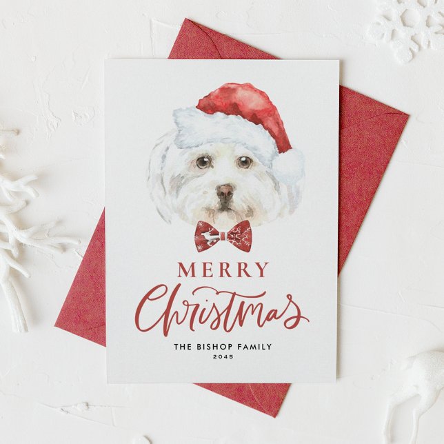 Cartes Pour Fêtes Annuelles Aquarelle mignonne Maltese Père Noël Joyeux Noël (Créateur téléchargé)