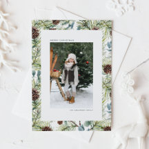 Aquarelle Pine et cônes de pin Noël