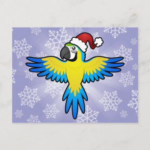 Cartes Pour Fêtes Annuelles Ara/perroquet de Noël