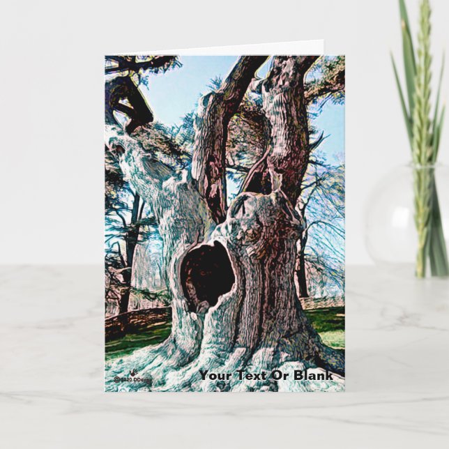 Cartes Pour Fêtes Annuelles Arborescence de films fameux Wizard (Devant)
