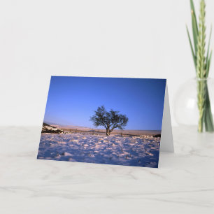 Cartes Pour Fêtes Annuelles Arbre à épines d'hiver