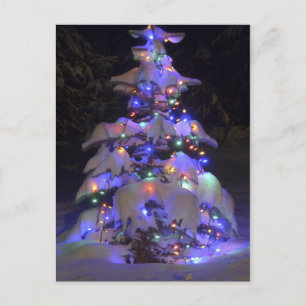 Cartes Pour Fêtes Annuelles Arbre de Noël couvert de neige brillante