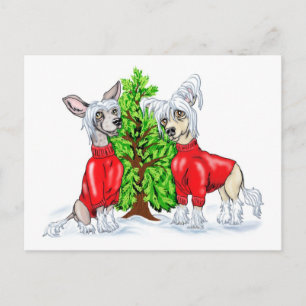 Cartes Pour Fêtes Annuelles Arbre de Noël crêté chinois