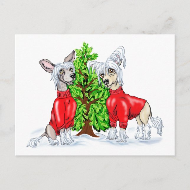 Cartes Pour Fêtes Annuelles Arbre de Noël crêté chinois (Devant)