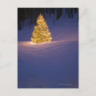Cartes Pour Fêtes Annuelles Arbre de Noël de Lit dehors