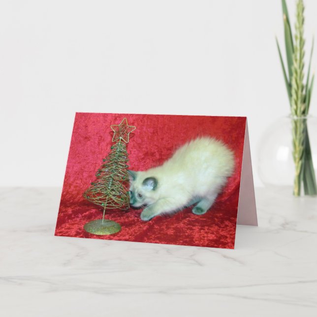 Cartes Pour Fêtes Annuelles Arbre de Noël de Savannah ( Chat / Chaton ) (Devant)